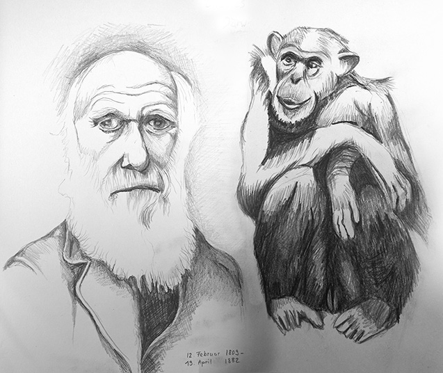 Darwin und Affen Skizze