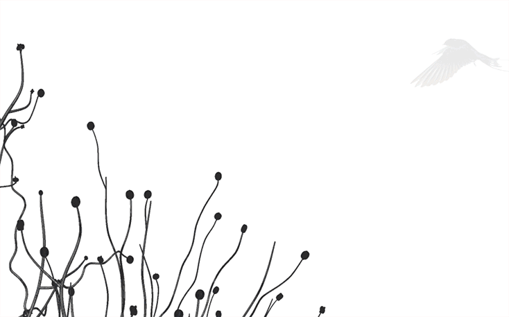 OAK Innovation Animation